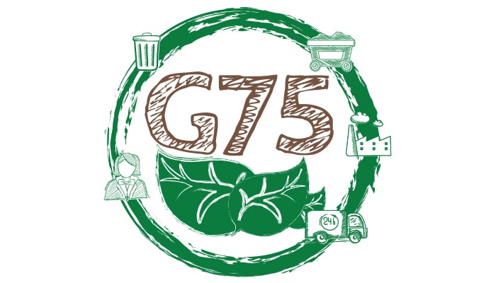 G75